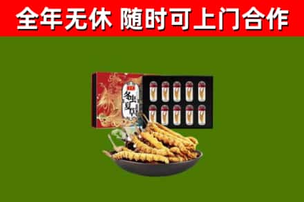 沂南县回收冬虫夏草价格
