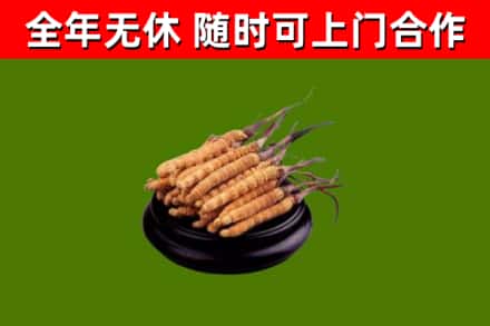 沂南县烟酒回收冬虫夏草.jpg