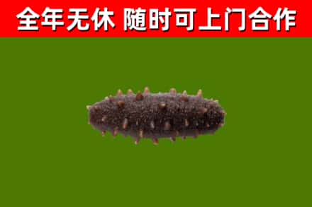 沂南县烟酒回收干海参.jpg